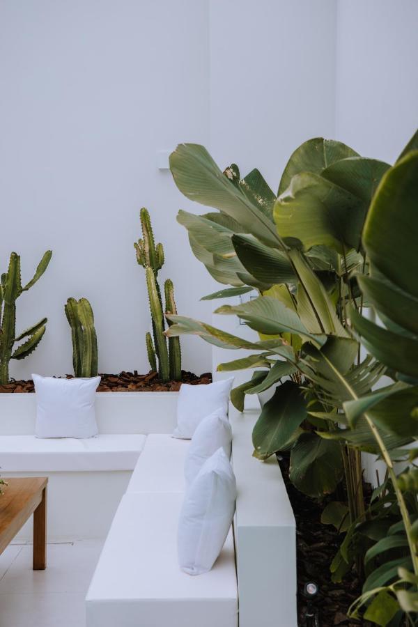 Olisa Hotel Boutique 마레지아스 외부 사진